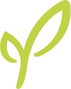 Palmer Home for Children Logo